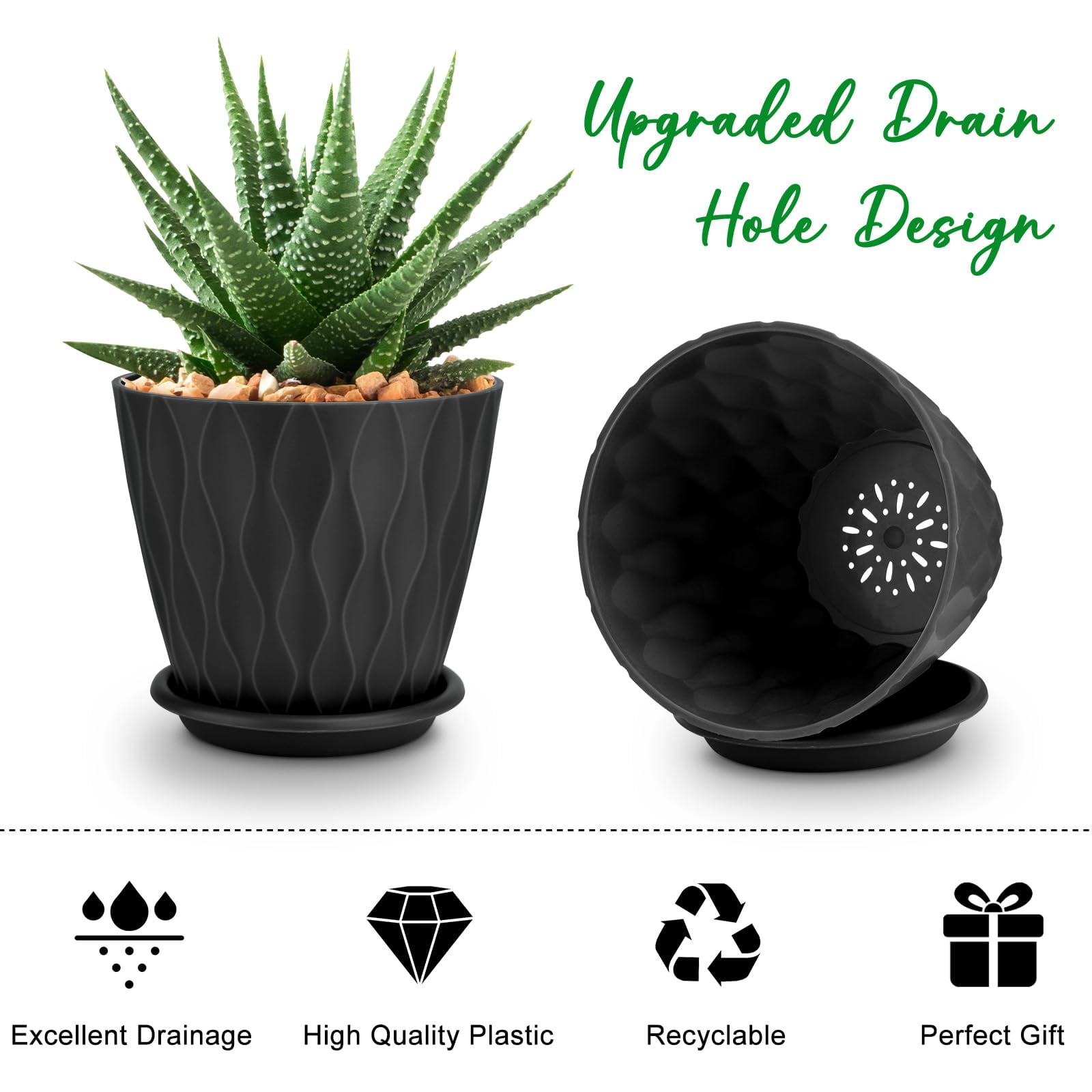 Plant Pots