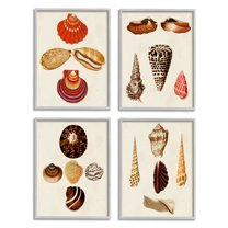 Stupell Industries Vintage Nautical Seashells Warm Red Brown Print Framed Wall Art Design by G.W. Knorr, 4 Piece, 16" x 20", Gray Framed