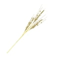 thumbnail image 5 of Baoblaze Decorative Glitter Branches 28.7" Long Fake Artificial Glitter Berries Stem Vase Gold, 5 of 8