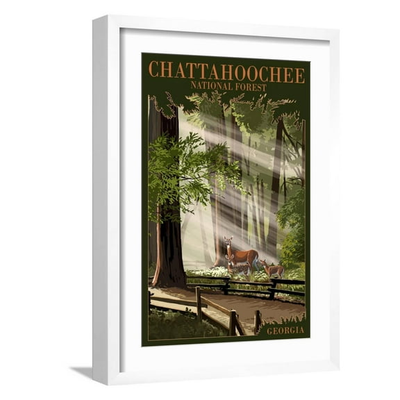 Art.com Chattahoochee National Forest, Georgia - Deer and Fawn Art Print by Lantern Press, White Frame Wall Art, 17" x 23"