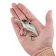 thumbnail image 5 of Shallow Money Badger Fishing Crankbait, 2.75 in, Ghost Sexy Shad, 5 of 6