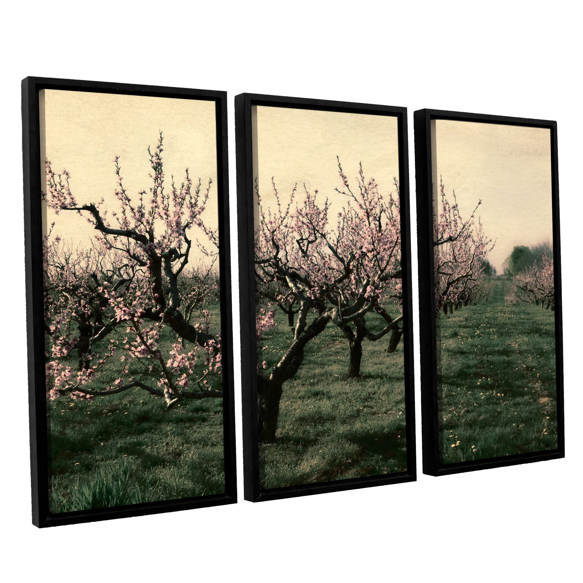 ArtWall Kevin Calkins "Cheery Cherries" 3-Piece Floater Framed Canvas Set