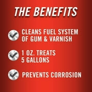 STA-BIL In-Season Protection Cleans Injectors, Increases Mileage & Prevents Corrosion, 10 fl. oz. (22264)