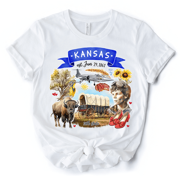Artistic Kansas State Themes and Landmarks T-Shirt, Tee for History and Travel Lovers
