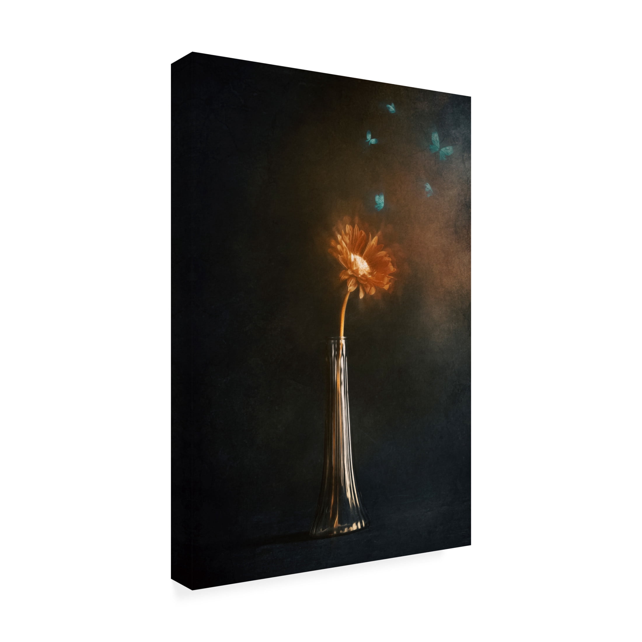 Trademark Fine Art Cicek Kiral Peaceful Moments Canvas Wall Art