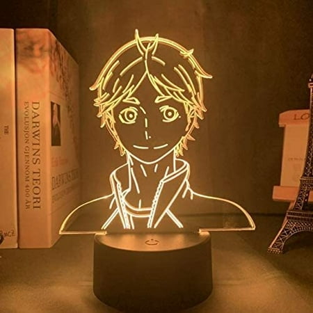 

3d Illusion Light - Haikyuu Hinata Shoyo Kageyama Tobio Figure Acrylic Led Night Light For Kids Bedroom Decor Nightlight (Color : 7 colors no remote Size : DJ QDS428)