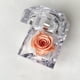 thumbnail image 1 of Mini rosa preservada Mina’an-flor eterna en cajita de regalo color Peach, 1 of 4