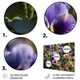 thumbnail image 3 of Designart "Harmony of Purple and Yellow Pansies I" Floral Metal Wall Decor, 3 of 5