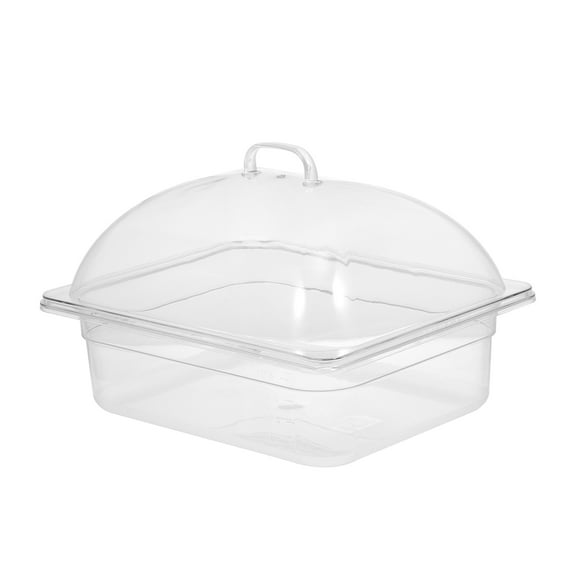 WASHWEPE 1Set Veggie Platter with Lid Transparent Rectangular for Food Plate and Serving