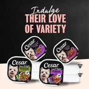 Cesar Wet Dog Food Steak Lovers Variety Pack, Real Meat Wet Food for Dogs, 36 Count