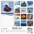 thumbnail image 2 of Ocean Life Calendar 2026 | Creatures of the Sea | 12" x 24" Animal Wall Calendar 16 Month | Marble City Press, 2 of 4