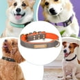 thumbnail image 6 of Engraved Collar Identification Collar Puppy Collar Featuring a Secure No-snag Nameplate for Small and Large Dogs, 6 of 9