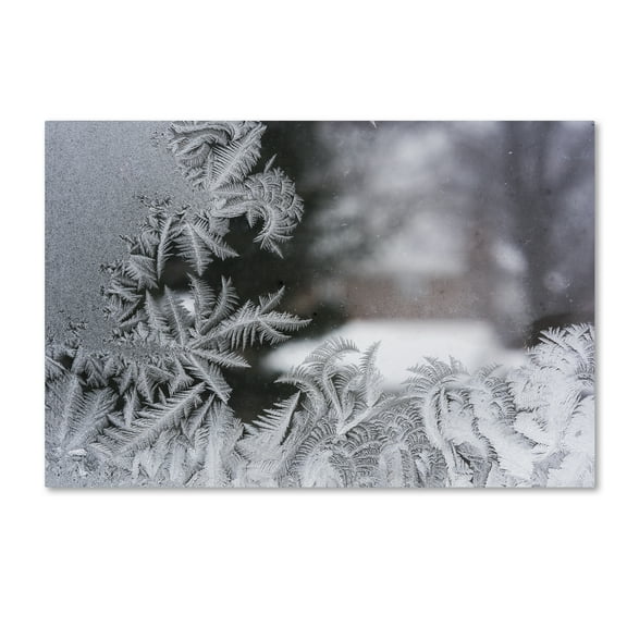 Trademark Fine Art 'Frost on my Window IV' Canvas Art by Kurt Shaffer