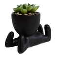 thumbnail image 3 of Planta Artificial con Maceta de Cerámica Negro, 3 of 4