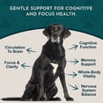 thumbnail image 3 of Animal Essentials Brain Awake Cognitive Support Formula For and Dogs Cats 1 oz., 3 of 9