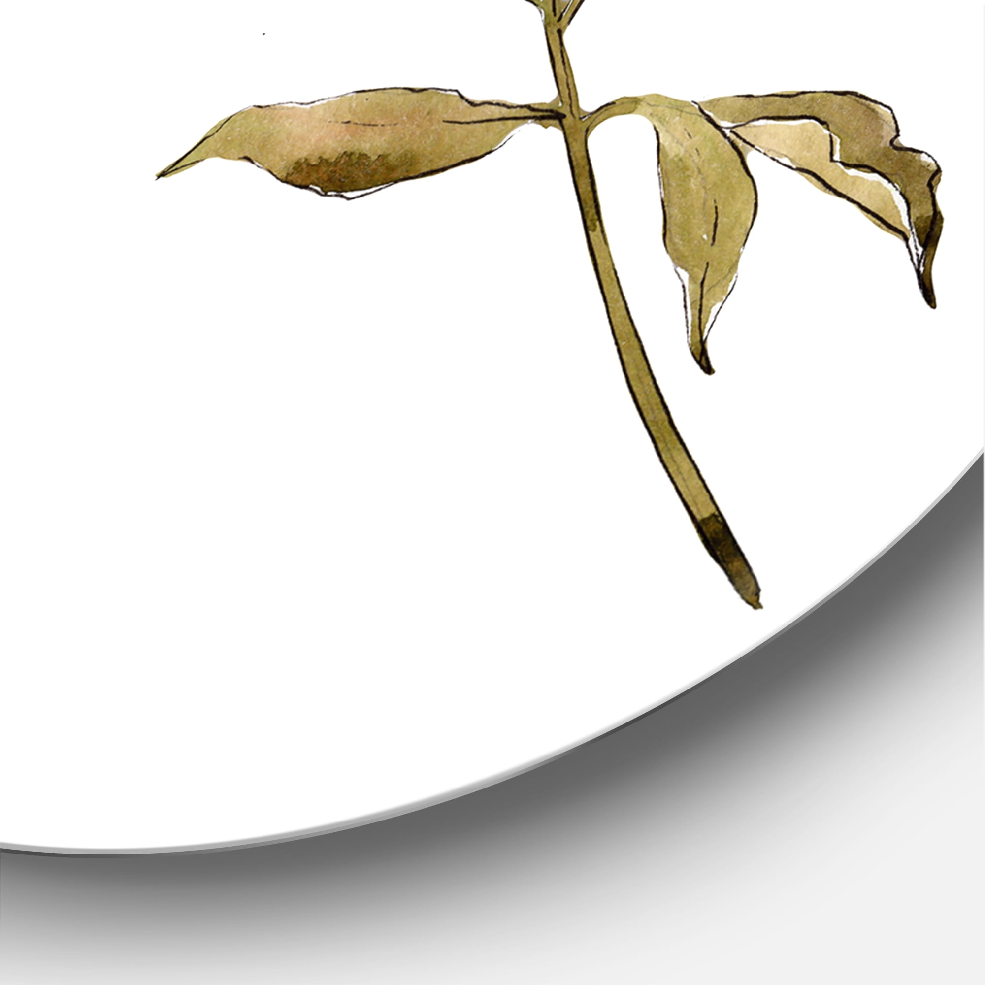 Designart 'Three Willow Branches On White' Farmhouse Circle Metal Wall Art 29x29 - Disc of 29
