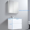 thumbnail image 5 of Blossom Assisi 24" Bathroom Vanity w/ Ceramic Sink | Glossy White | Basin | Floating Vanity Storage, 5 of 8