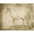 thumbnail image 2 of Murdock, Ramona 18x15 Gold Ornate Wood Framed with Double Matting Museum Art Print Titled - Horse Anatomy 101, 2 of 4