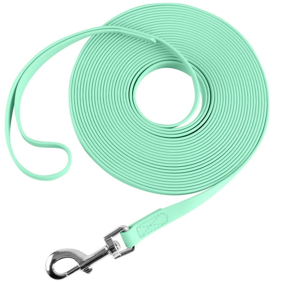 Correa impermeable, larga y duradera para adiestramiento de perros, ideal para senderismo al aire libre, entrenamiento, patio, playa y natación (verde claro, 15 pies)