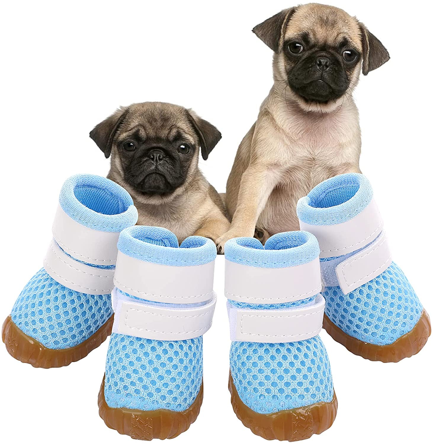 Pug dog shop shoes