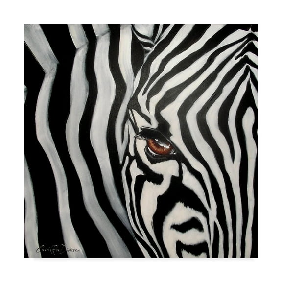Trademark Fine Art 'Zebra Face' Canvas Art by Cherie Roe Dirksen