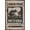 Bronze Framed Version, variant on Linkin Park - Meteora Canvas Wall Poster, 14.725" x 22.375"