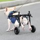 thumbnail image 3 of Pet disabled dog wheelchair scooter, 3 of 5