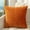 Solid Color, variant on Viflosae 18 X 18 Pillow Covers Pillow Covers Solid Color Velvet Pleated Pillowcase Velvet Sofa Cushion Headboard Pillow Office Lumbar Support Waist Protection