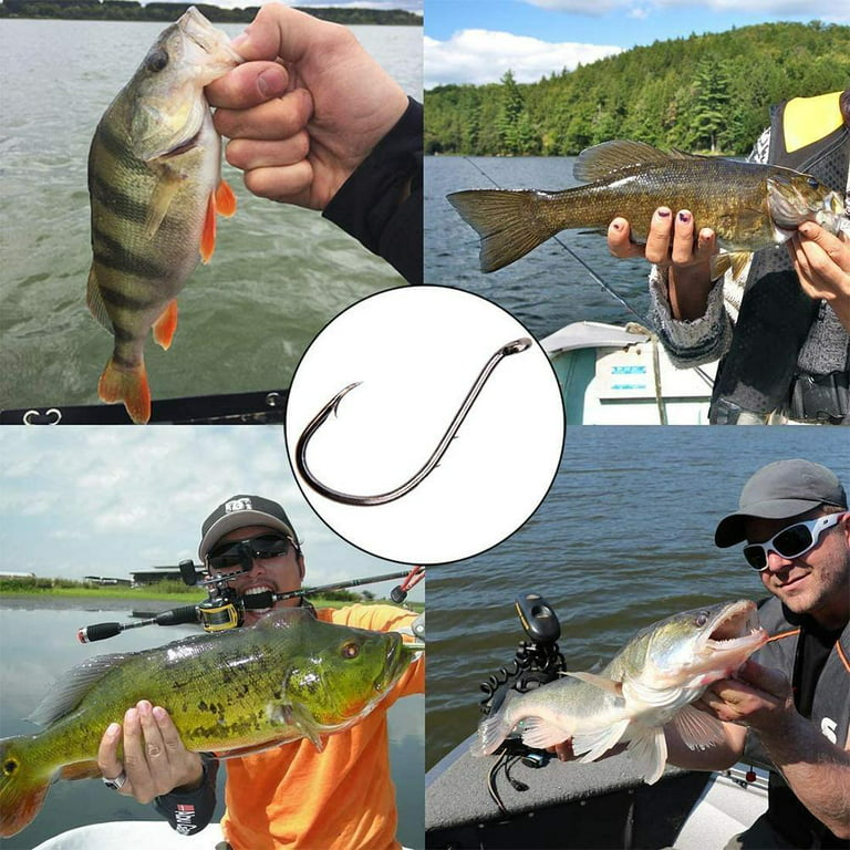 Colt-10pcs High-Carbon Steel Carp Fishing V-Curve Barbed Hooks Catfish Hook  2/4/6/8# - buy Colt-10pcs High-Carbon Steel Carp Fishing V-Curve Barbed Hooks  Catfish Hook 2/4/6/8#: prices, reviews