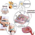 thumbnail image 4 of Pretty Health Lymphvity Detoxification and Shaping & Powerful Lifting Bra, Shaping Detox & Lifting Breast for Women, 4 of 12