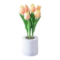 thumbnail image 2 of FENGGHAO Mothers Day Tulip Night Light 6 Heads Champagne Artificial Flower LED Lamp with Vase Dimmable Rechargeable Table Centerpiece Home Decor, 2 of 7