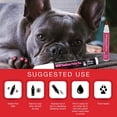 thumbnail image 3 of Warren London - Pawdicure Polish Pen, Non-Toxic and Fast Drying Dog Nail Polish, 3 of 9