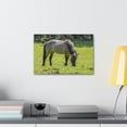 thumbnail image 4 of Majestic Tarpan Art Majestic Tarpan Print Animal Wall Art Wildlife Canvas Prints Wall Art Ready to Hang Unframed, 4 of 18