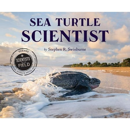 Sea Turtle Scientist (Best Place To See Sea Turtles In Kauai)