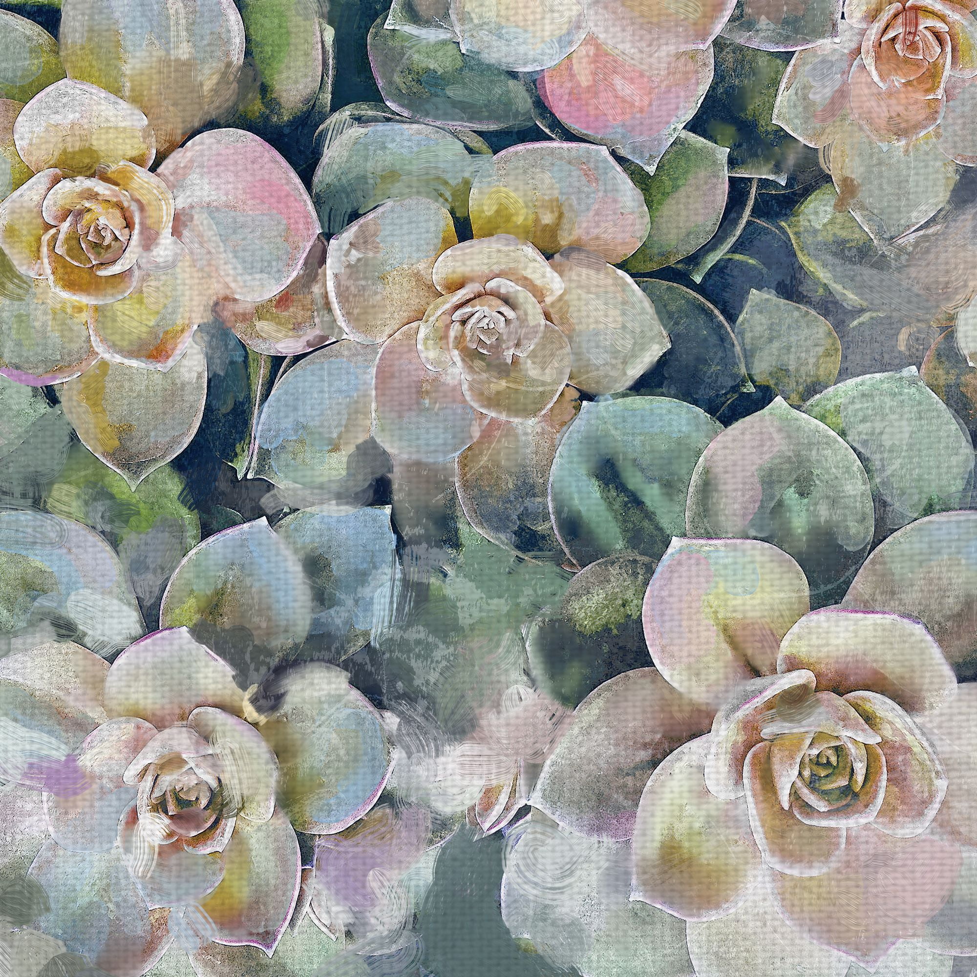 Fine Art Canvas Oasis Succulent Garden by Studio Arts Canvas Art Print