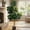 Black 150cm, variant on 7ft Artificial Fiddle Leaf Fig Tree, 141 Realistic Faux Ficus Lyrata Leaves with 3D Veins, 9in White Ceramic Planter with Decorative Pebbles, Indoor Fake Floor Plant for Home Office Living Room