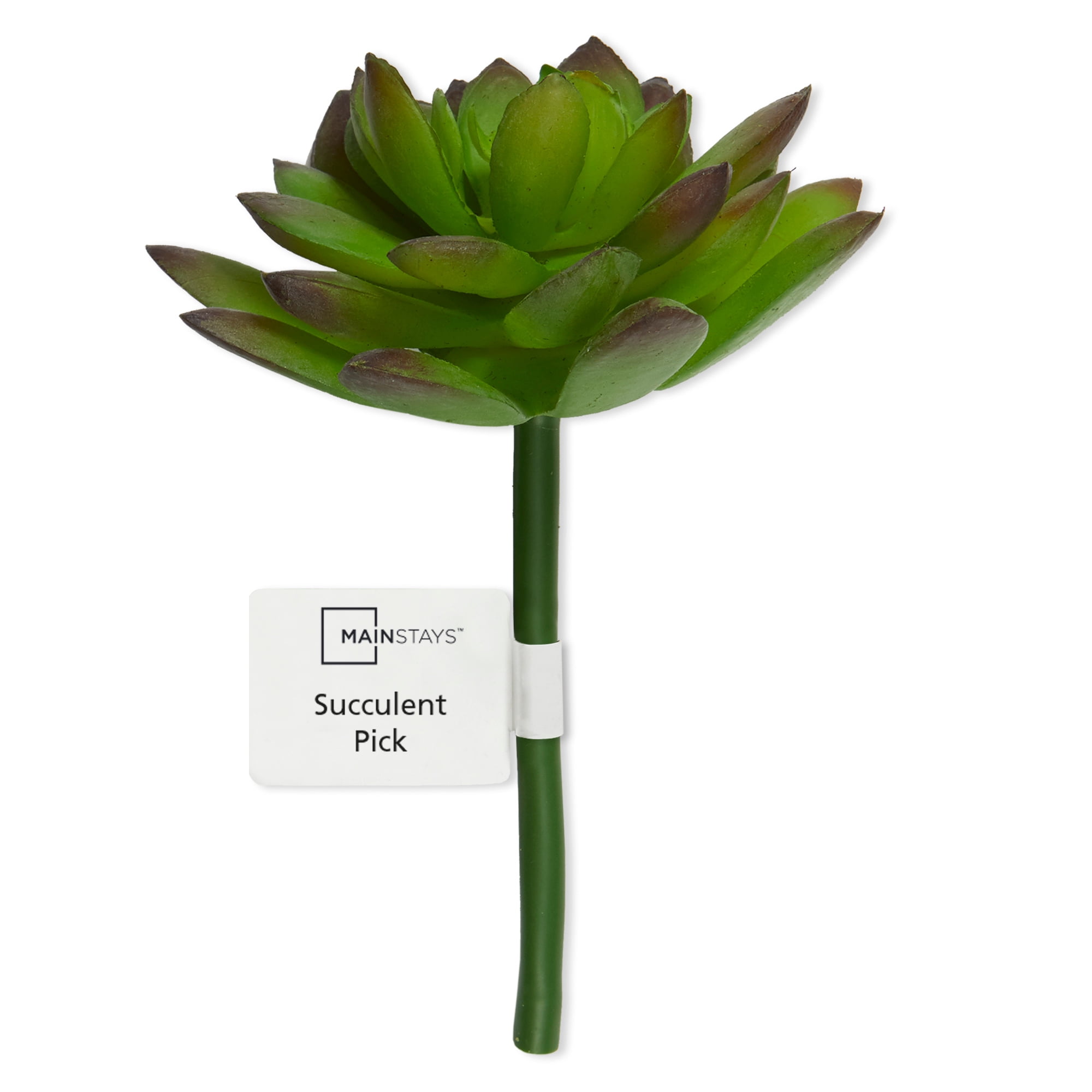 (3 pack) Mainstays Artificial Succulent Pick 3.5 inch x 5.5 inch Green Echeveria