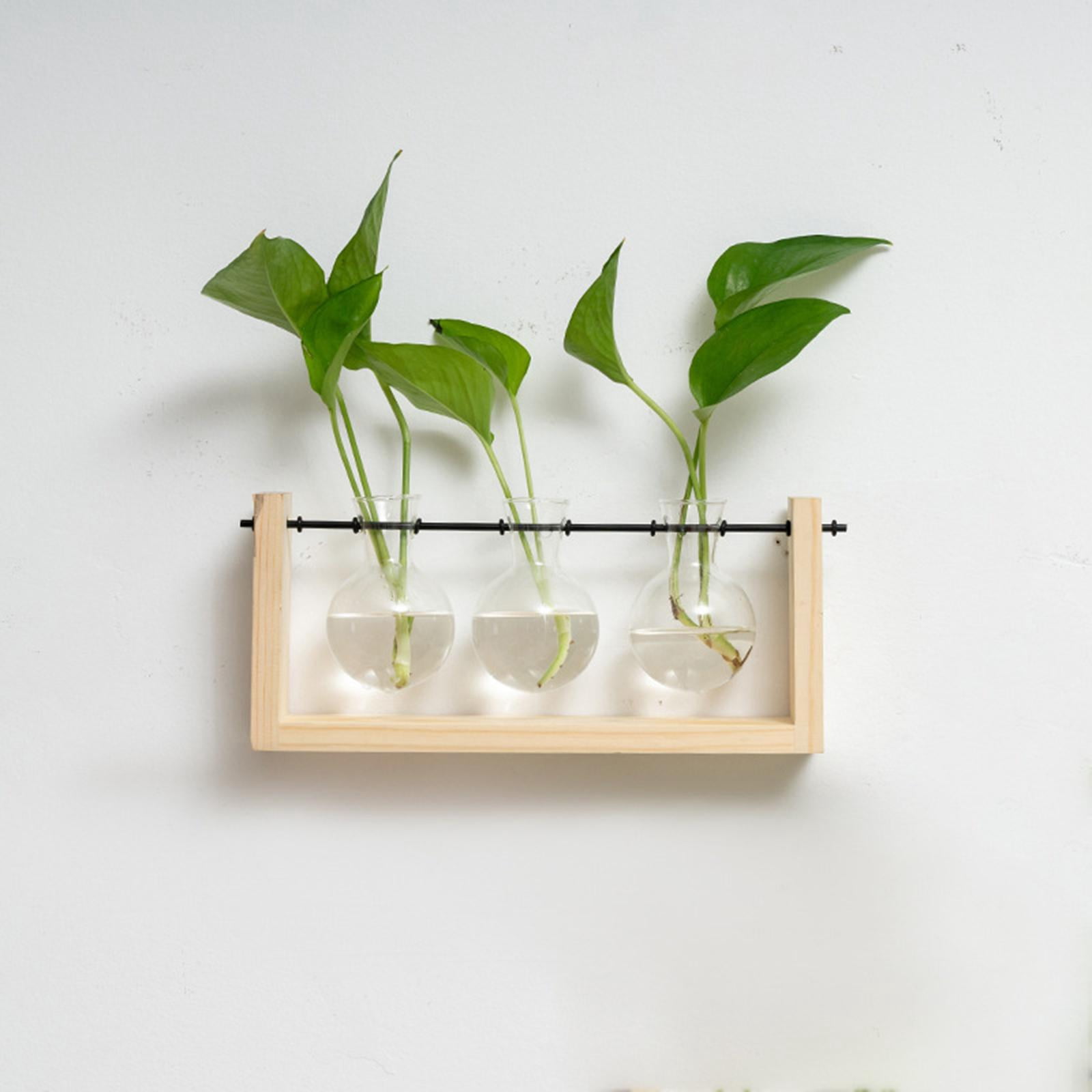 WLPZXP Glass Hanging Planter Hydroponic Vase Wall Mounted Plant Propagation with Wooden 28cmx12.5cm
