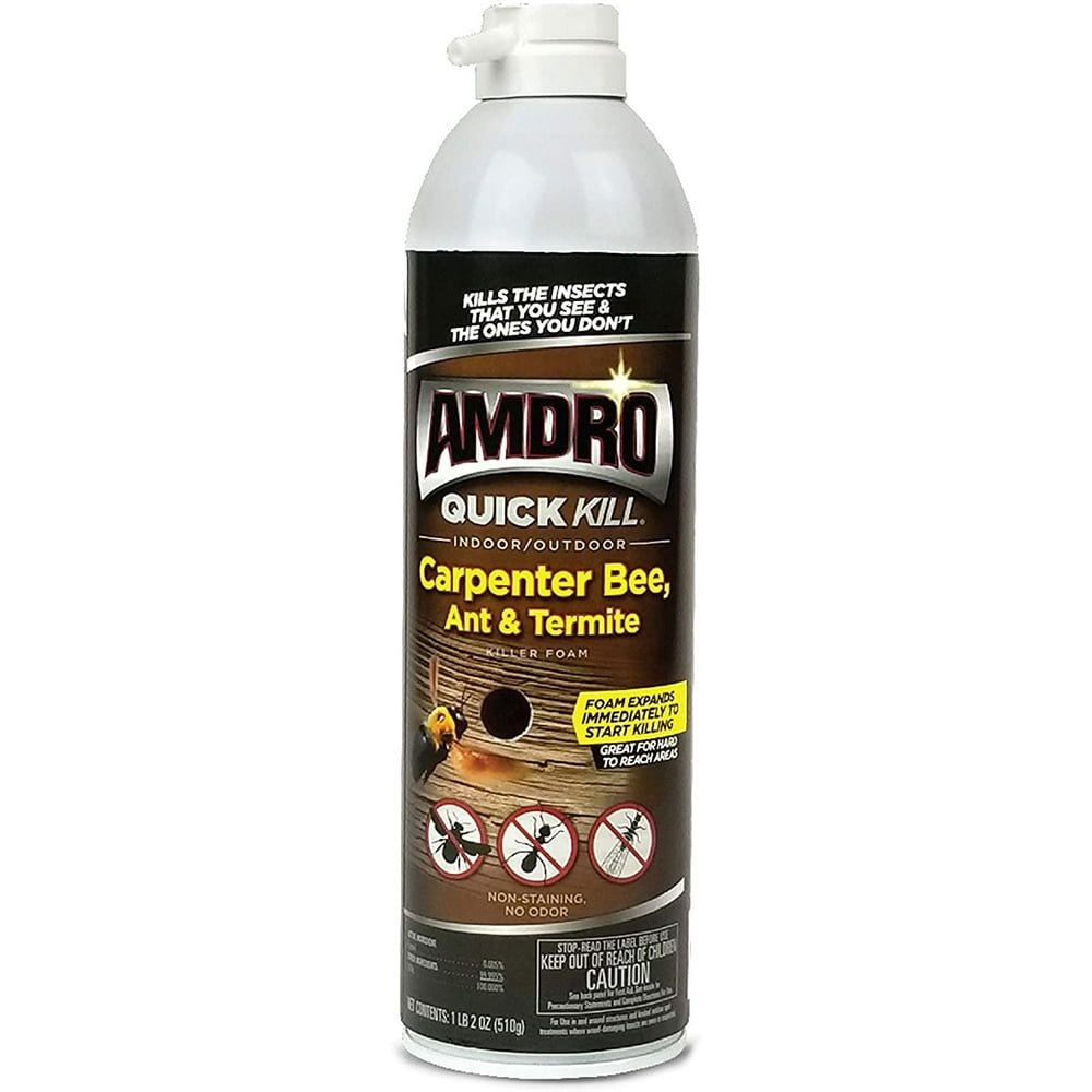 Amdro 100530435 Quick Kill Carpenter Bee, Ant, and Termite Killer Foam, 18 OZ