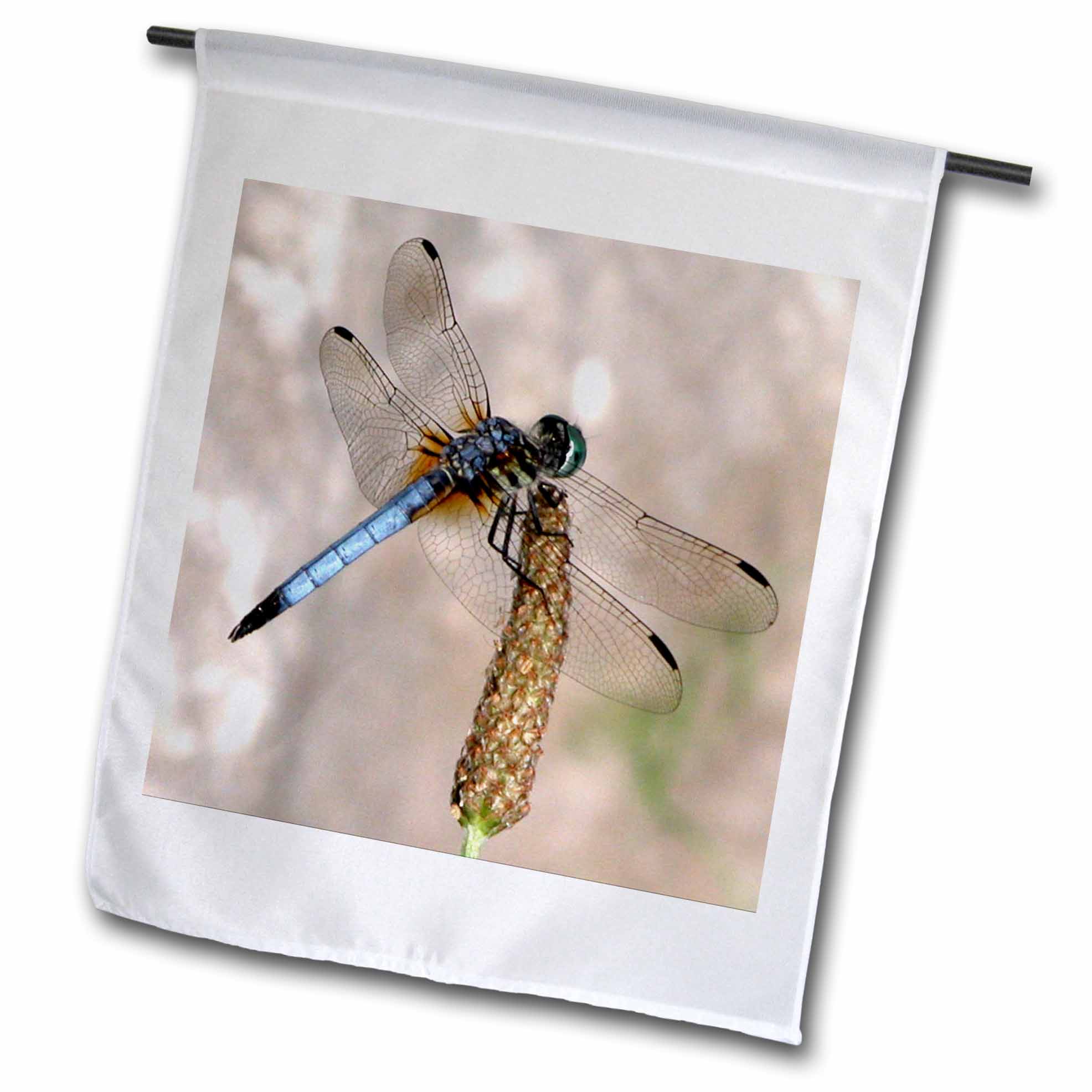 3dRose Beautiful Dragonfly - Garden Flag, 12 by 18-inch - Walmart.com