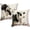 Black/White Cow, variant on Dragonfly Throw Pillow Covers with Daisy Floral 18 x 18 Inch Nature Theme Cushion Covers Watercolor Art Home Decor Spring Summer Pillow Cases 2 Pack for Sofa Couch Porch