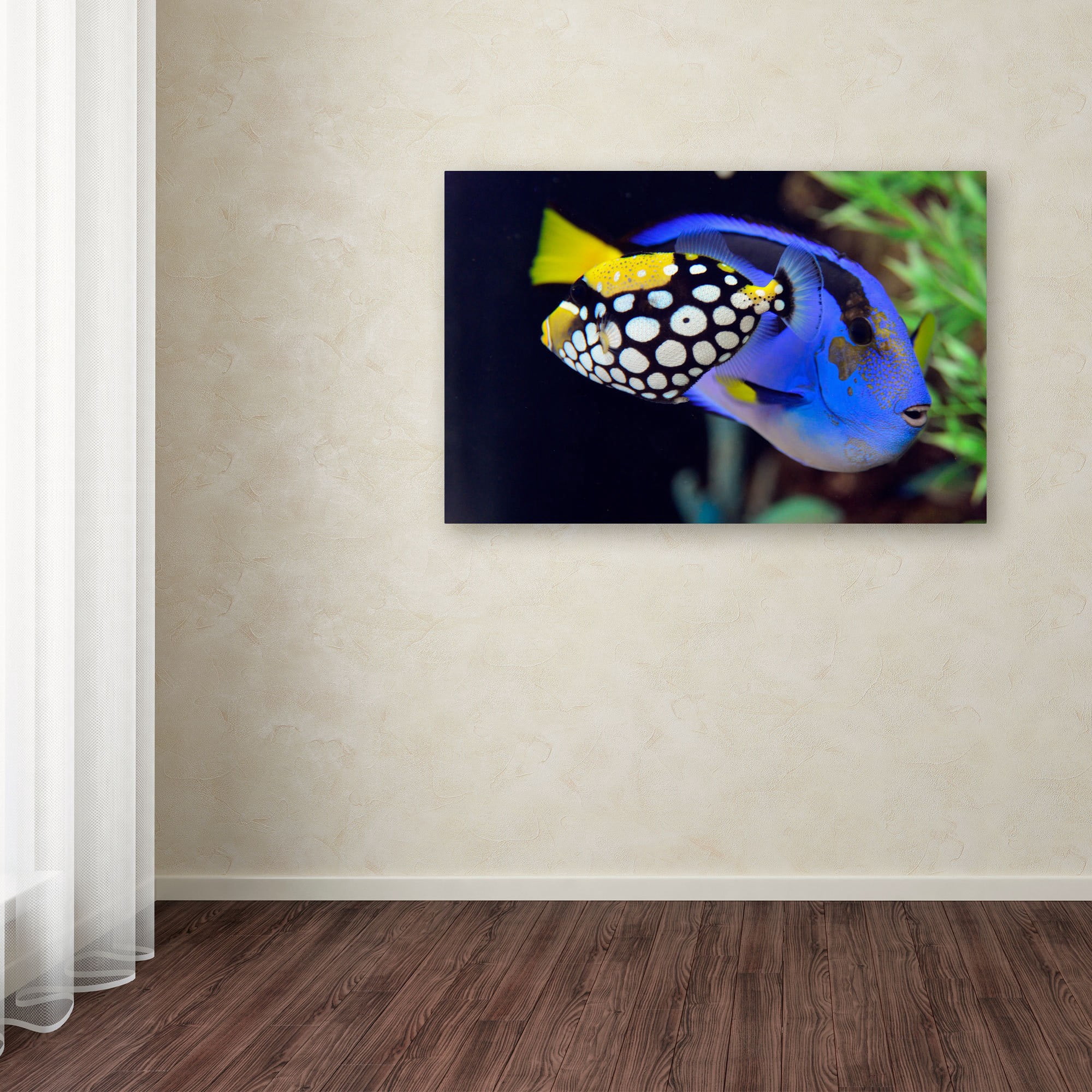 Trademark Fine Art "Colorful Tropical Fish" Canvas Art by Kurt Shaffer