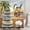 Beach Zen Stone, variant on Nature Landscape Shower Curtain Waterfall 72Wx72L Inch Jungle Rainforest Water Scene Mountain Cave Scenic Woodland Tree Lake Green Spa Zen Art Cloth Fabric Men Bathroom Decor Set with 12 Hooks