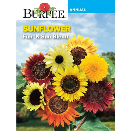 Burpee Fun 'N Sun Blend Annual Sunflower, 1-Pack, Full Sun