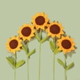 View all media