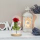 thumbnail image 4 of Flor de rosa eterna del día de San Valentín con luces de cadena de hadas en vidrio (rojo) Likrtyny Para estrenar, 4 of 6