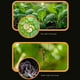 thumbnail image 4 of Juguetes Para Niño Microscopio portátil de bolsillo para niños, juguete de ciencia de 80 aumentos, ideal para aprender a explorar, acampar o investigar en el patio. Juguetes Para Bebe 1 Año, 4 of 6