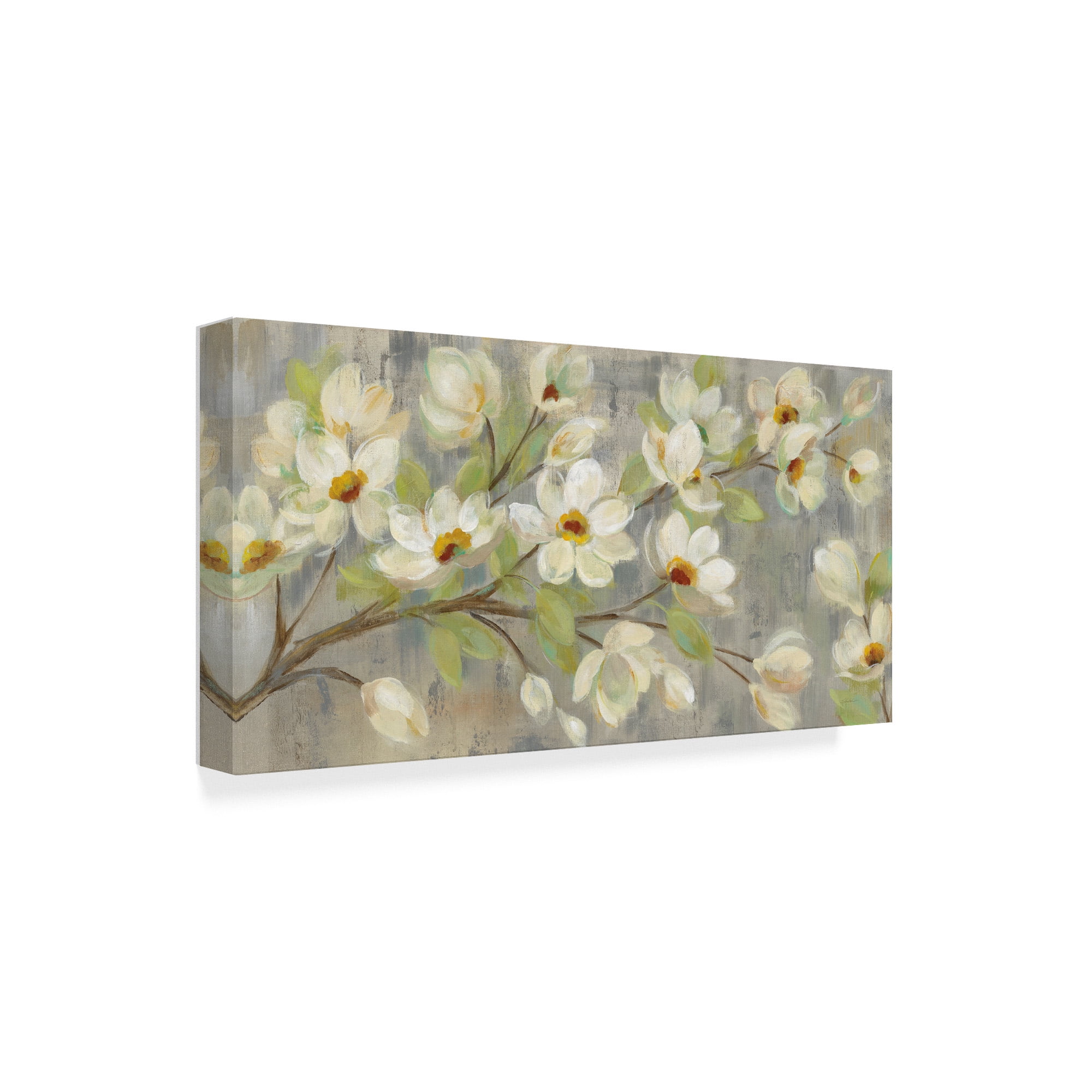 Trademark Fine Art 'April Branch' Canvas Art by Silvia Vassileva