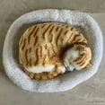 thumbnail image 2 of BESTSKY Cat Stuffed Animal,Soft Texture Stuffed Animal Cat,Detailed Design Comforting Pillow Realistic Cat,Style5, 2 of 4