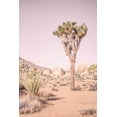 thumbnail image 2 of Urquhart, Elizabeth 13x18 Gold Ornate Wood Framed with Double Matting Museum Art Print Titled - Joshua Tree III Blush, 2 of 4